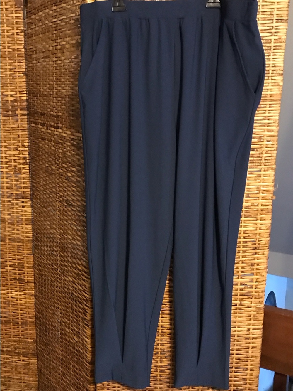Wynne Layers  Navy Pleated Tapered Pants